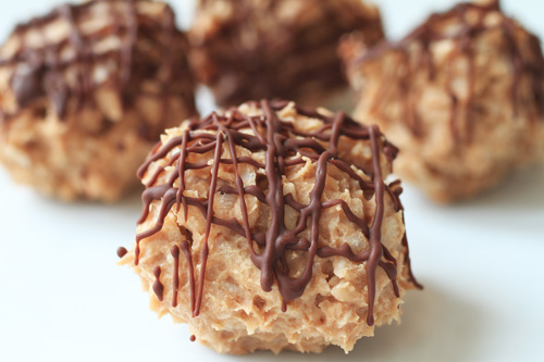 Chocolate, Coconut Protein Bites