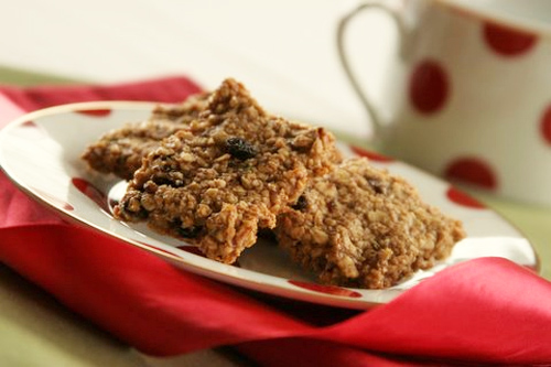 Oatmeal Currant Squares