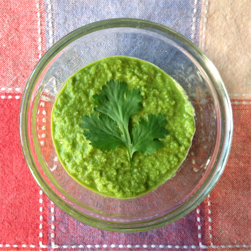 Coconut Cilantro Chutney