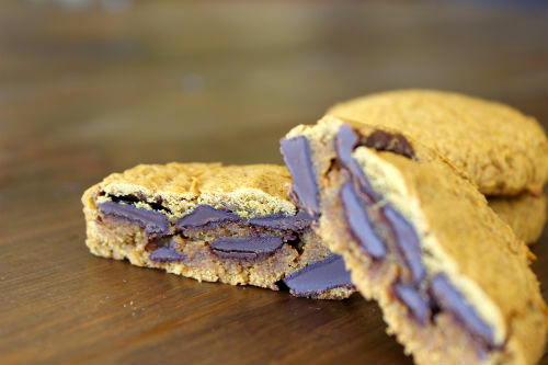 Flourless Pumpkin Coconut Butter Cookies