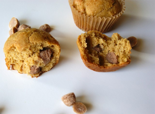 Dairy-Free Cinnamon Baking Chips with Coconut Cream Concentrate