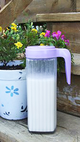 Homemade Coconut Cashew Milk