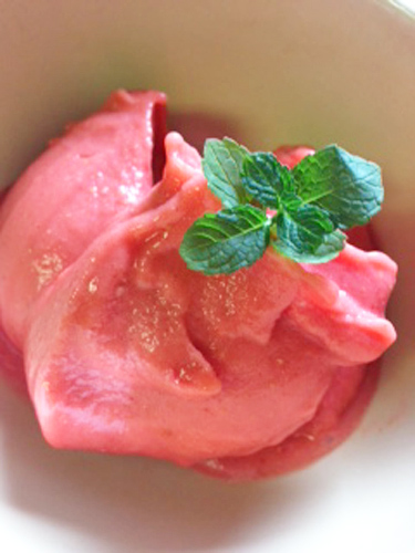 Coconut Milk Berry Sorbet